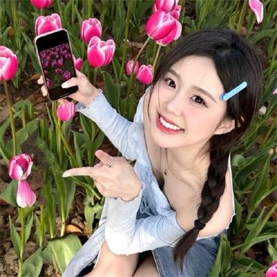 艾尔文紫